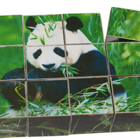 Деревянные развивающие кубики "Панды"