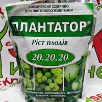 Удобрение" ПЛАНТАТОР" рост плодов  20.20.20 вес 1кг.
